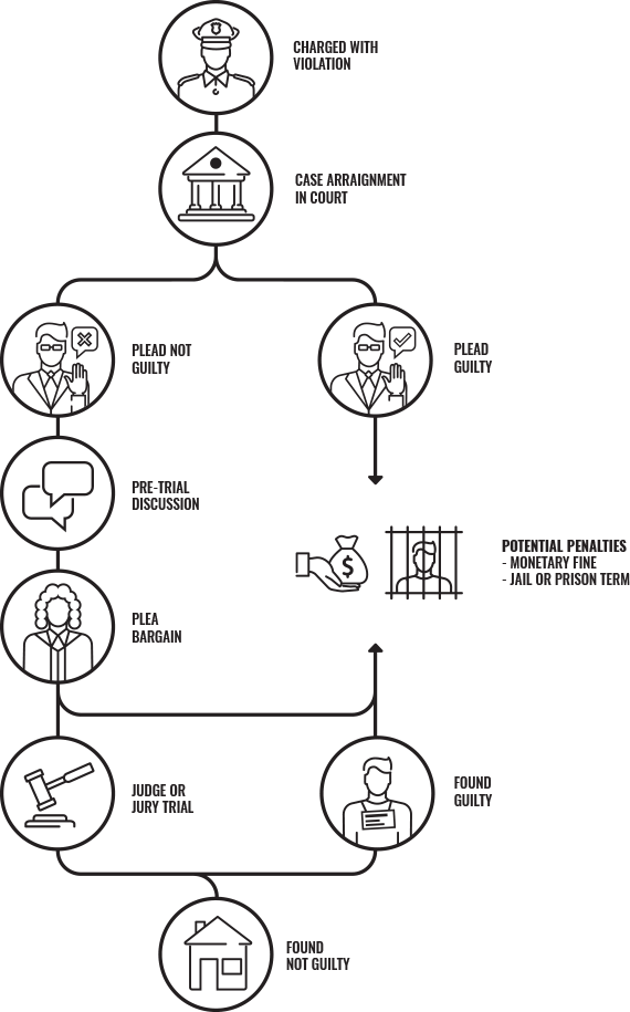 a diagram outlining the criminal defense process