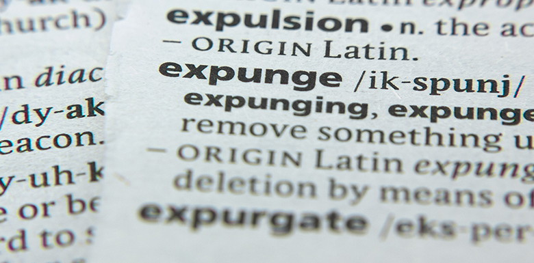 Dictionary cut out of expunge image